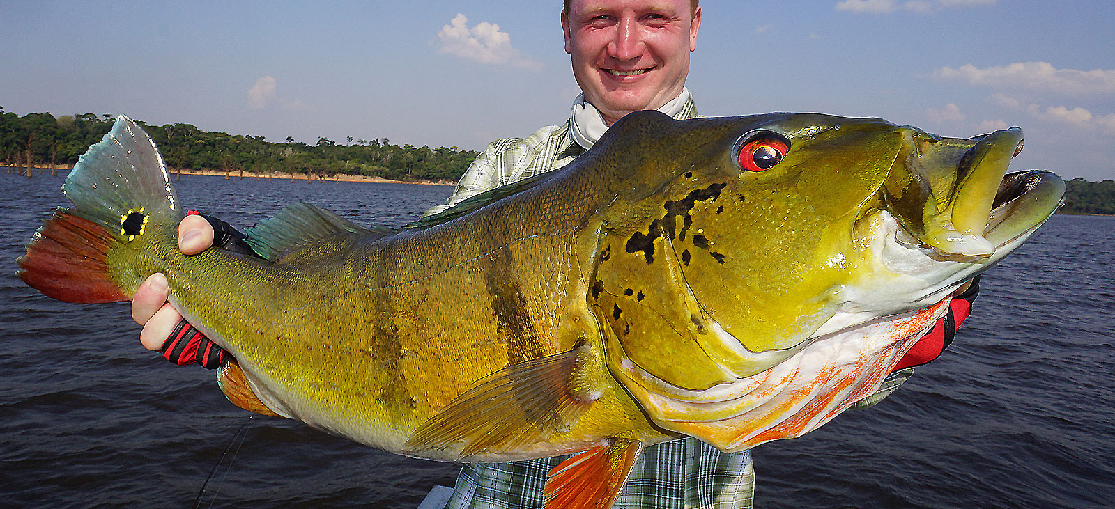 Peacock Bass Fishing - River Plate Anglers