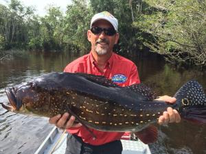 brazil-amazon-peacock-bass-fishing-gallery-10