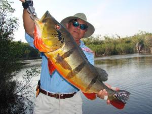 brazil-amazon-peacock-bass-fishing-gallery-21